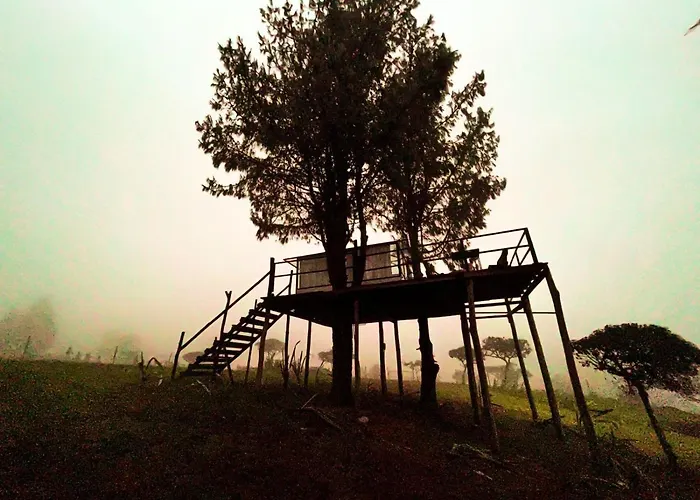 Tu Glamping S A S