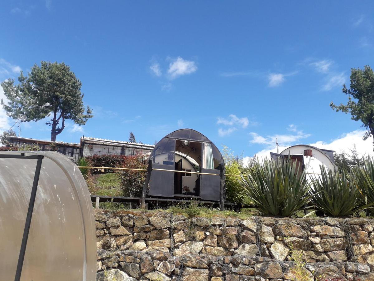 Tu Glamping S A S Campsite