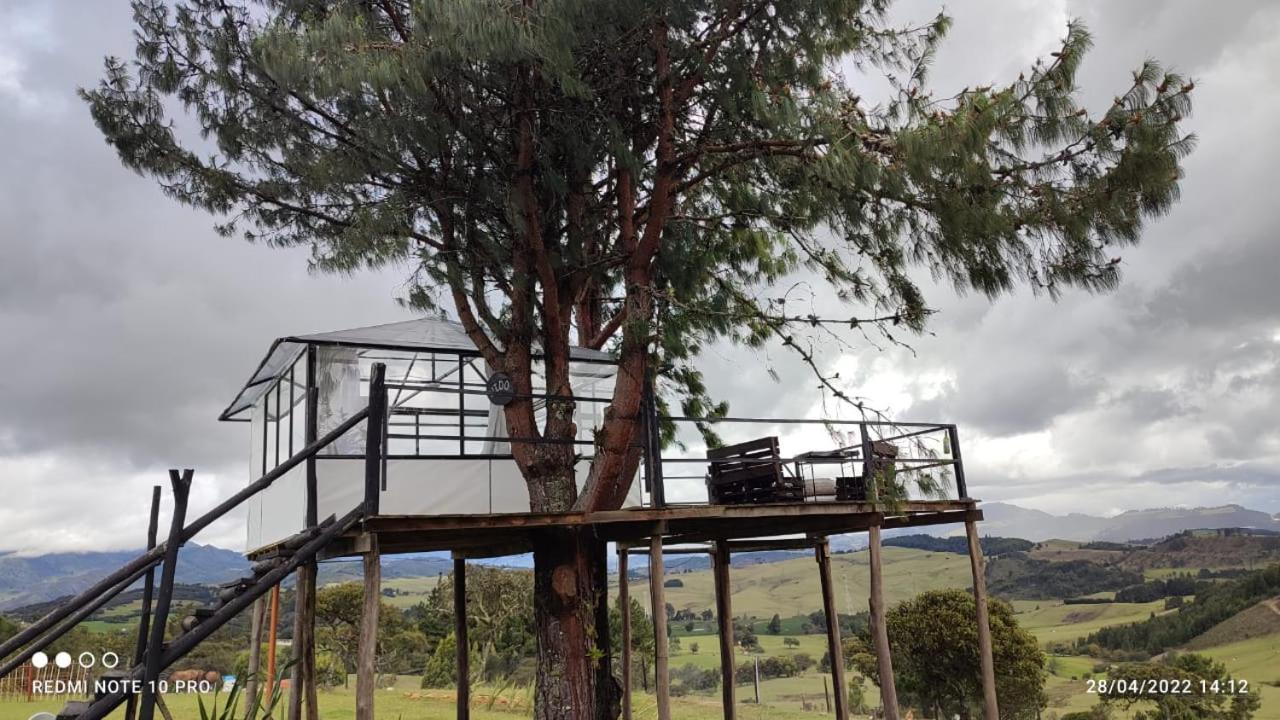 Tu Glamping S A S Choconta