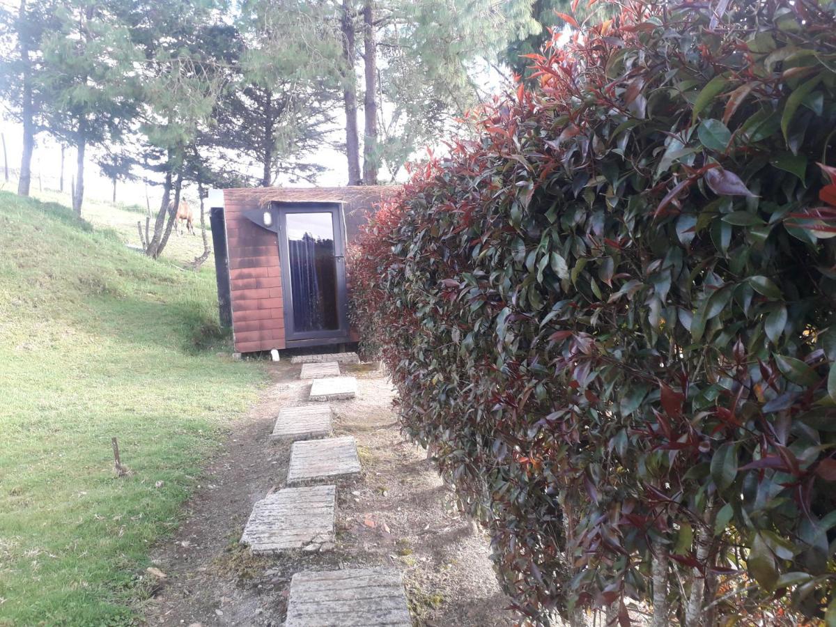 Tu Glamping S A S Campsite